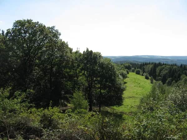 Naturabenteuer im Bergischen – Baumwipfelpfad erleben