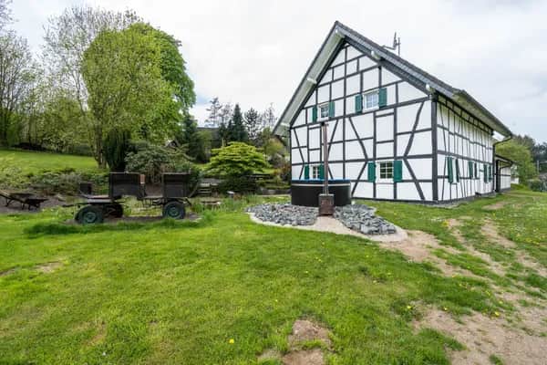 Sicher eingezäuntes Naturgrundstück für Hundeurlaub