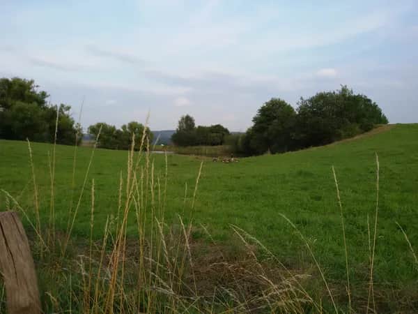 Kulturmomente rund um Schloss Homburg im Rheinland