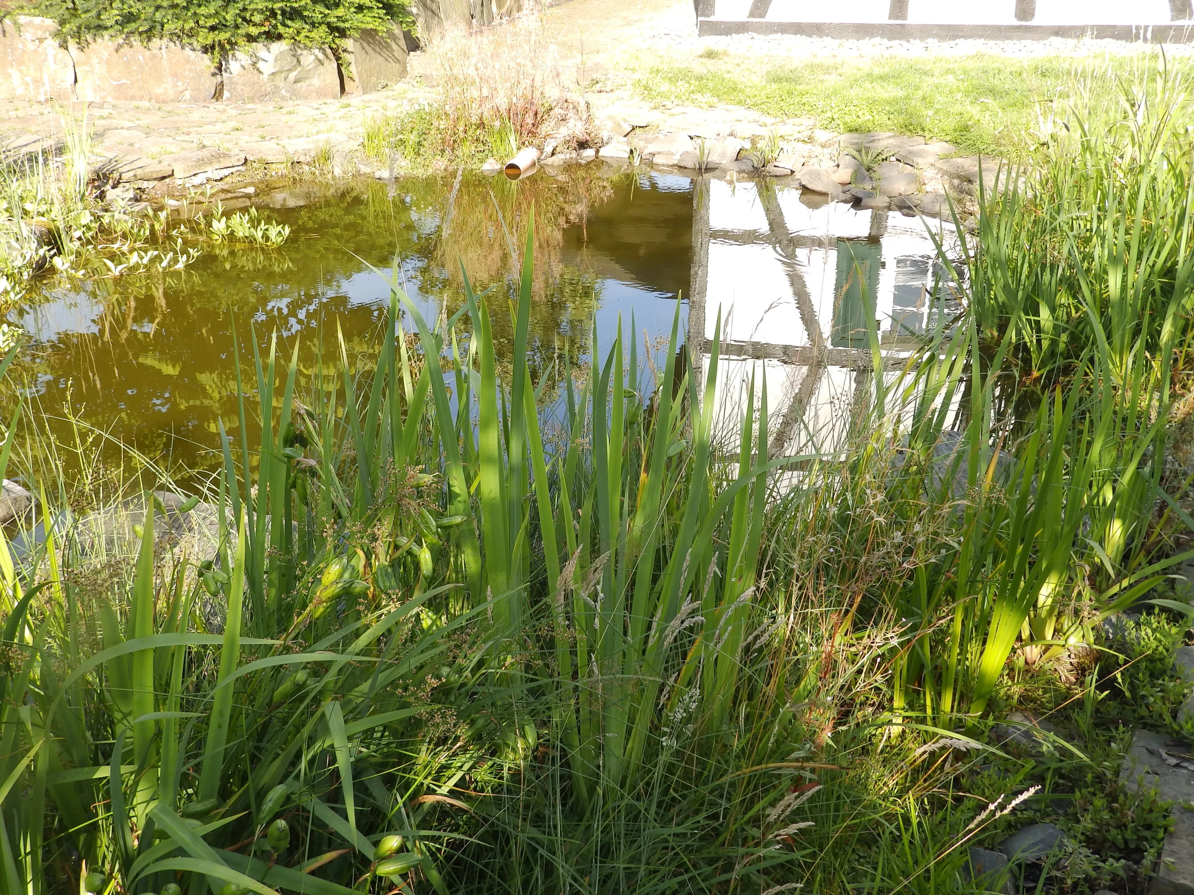 Wochenendtrip mit Freunden ins Ferienhaus im Grünen in NRW 2