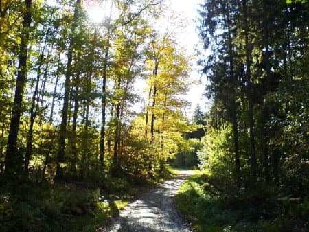 Familienabenteuer im Siegtal – Natur, Tiere und Ausflüge für alle