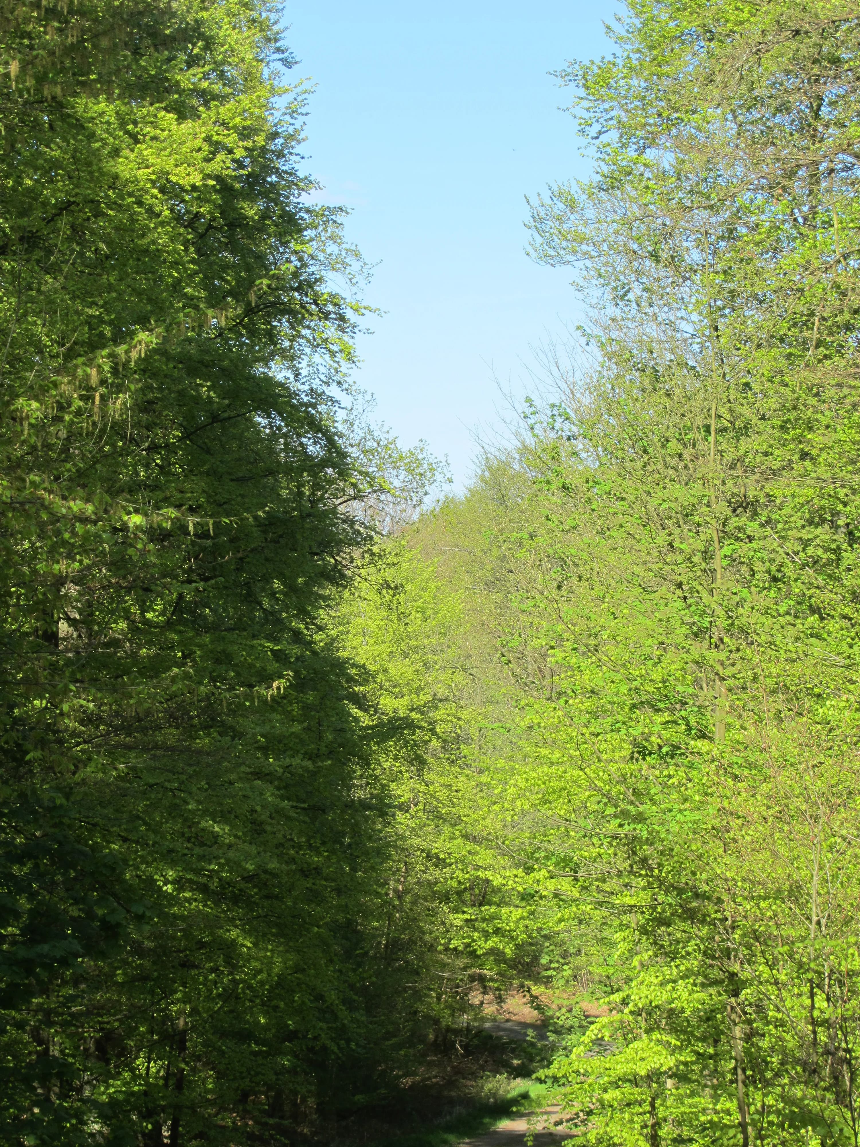 Kräuterwanderung und Naturgenuss – Erholsame Tage im Bergischen 2
