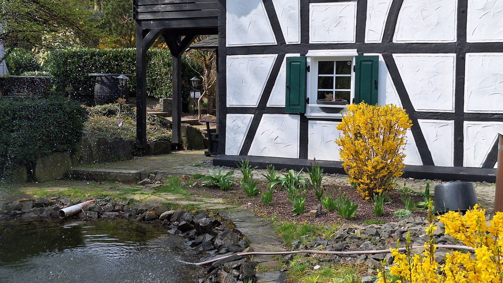 Ruhige Rückzugsoase nach dem Karnevalstrubel