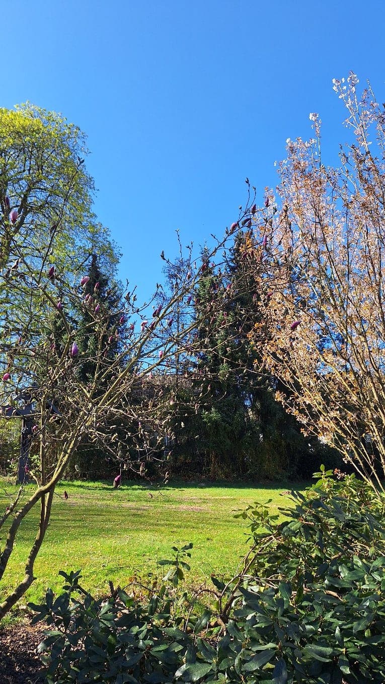 Entspannte Hundereise mit großem Garten in Ruppichteroth