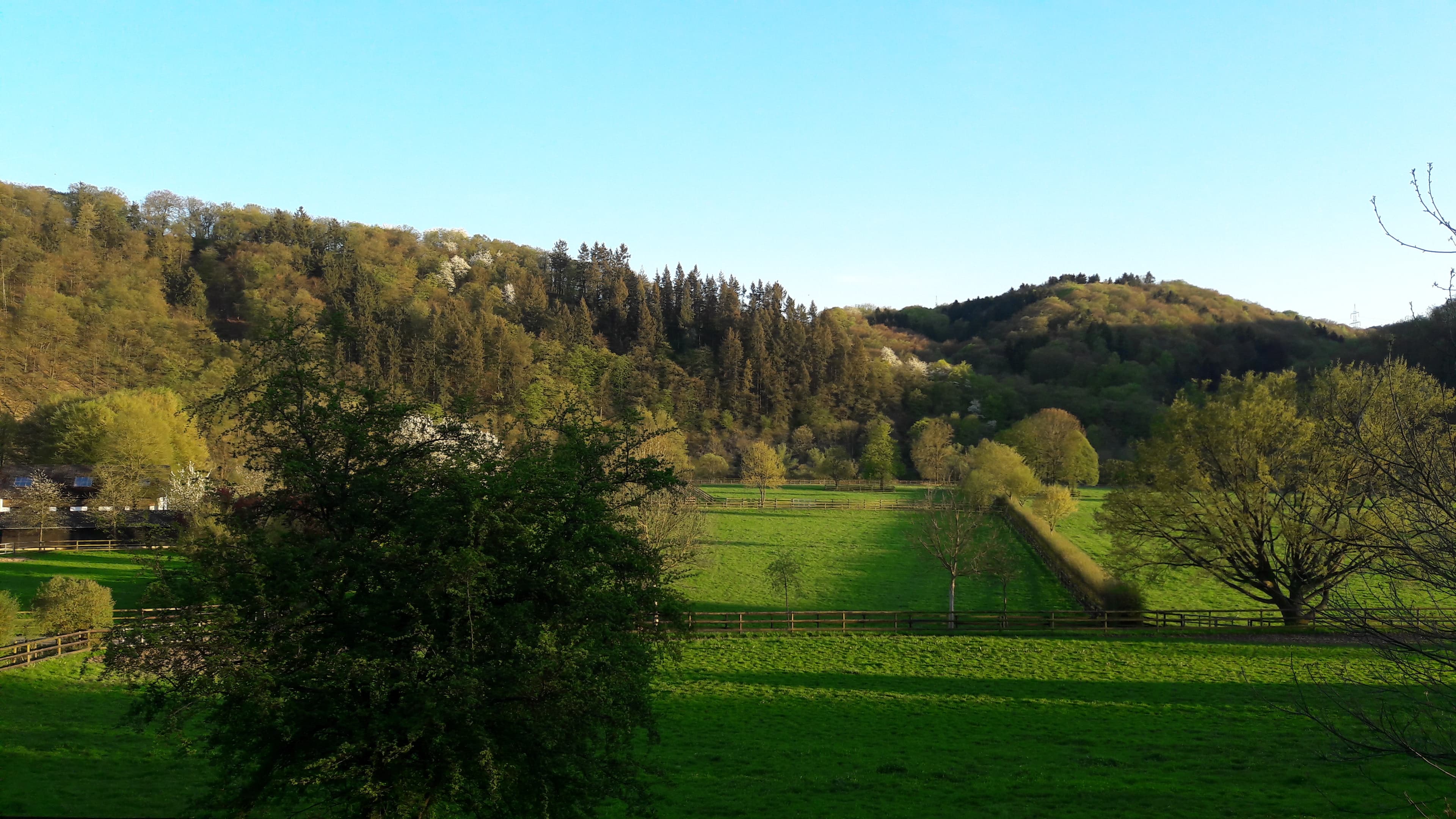 Rheinromantik und Drachenfels-Erlebnis nahe Bonn
