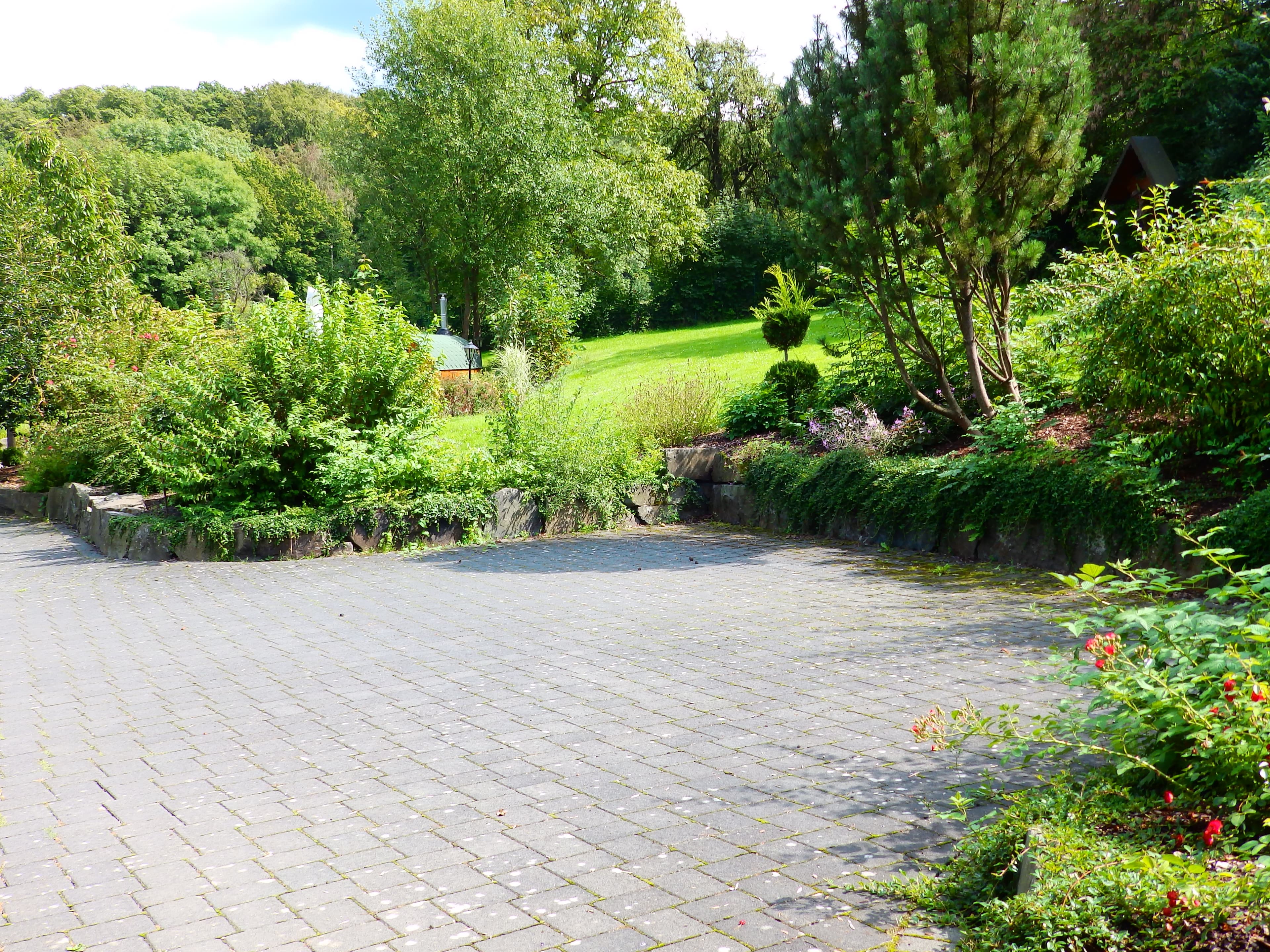 Rheinromantik und Drachenfels-Erlebnis nahe Bonn