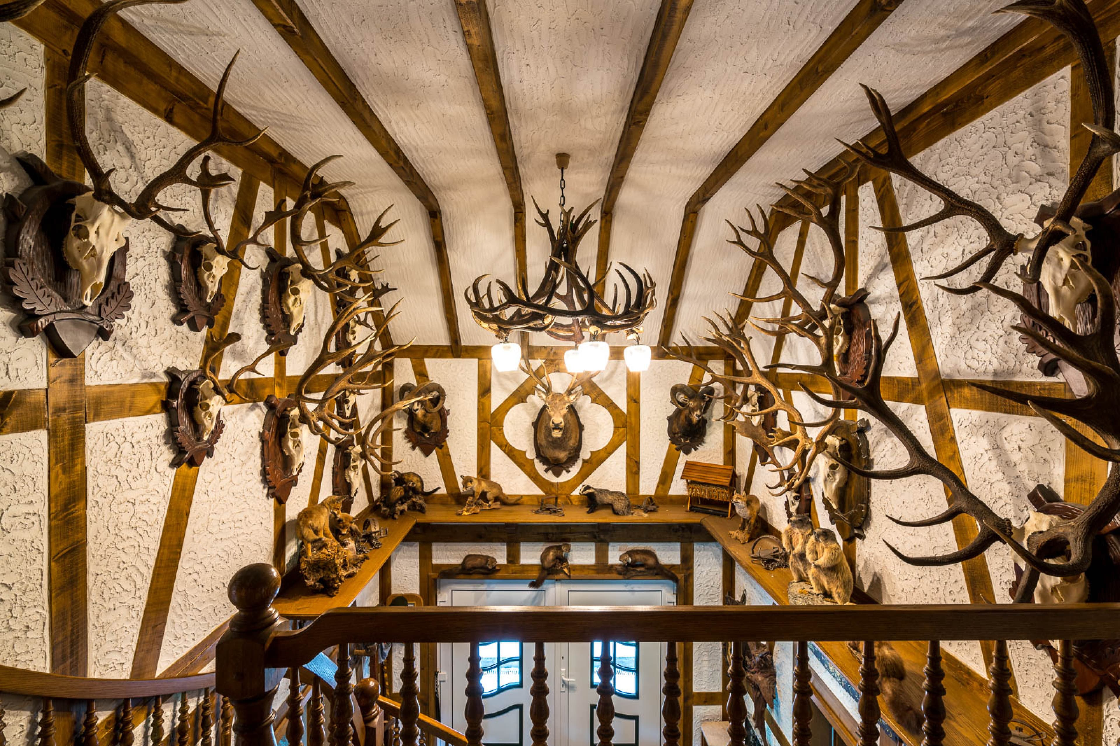 Ruheoase bei Ruppichteroth für Ausflüge in den Westerwald