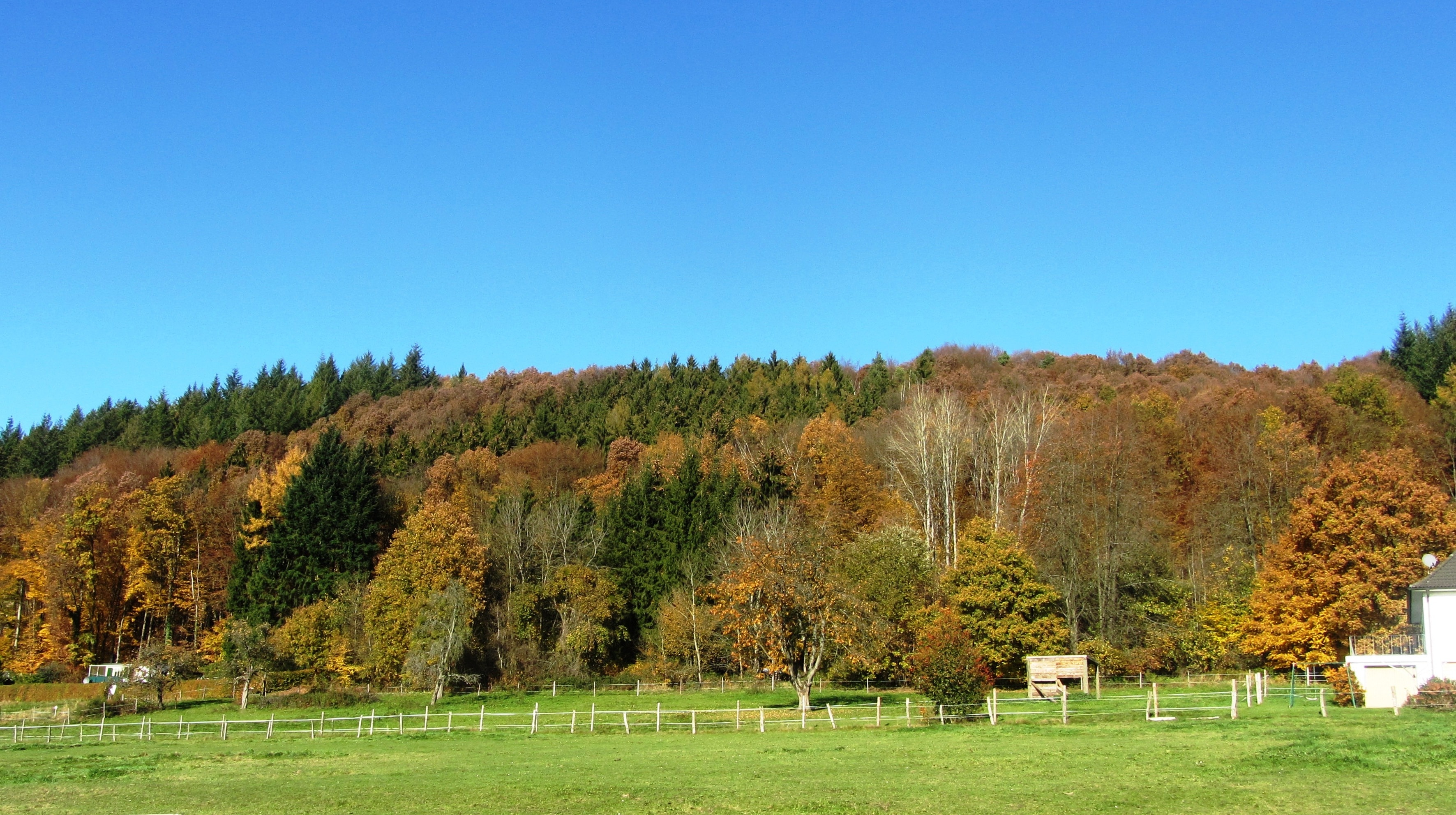 Familienabenteuer im Siegtal – Natur, Tiere und Ausflüge für alle