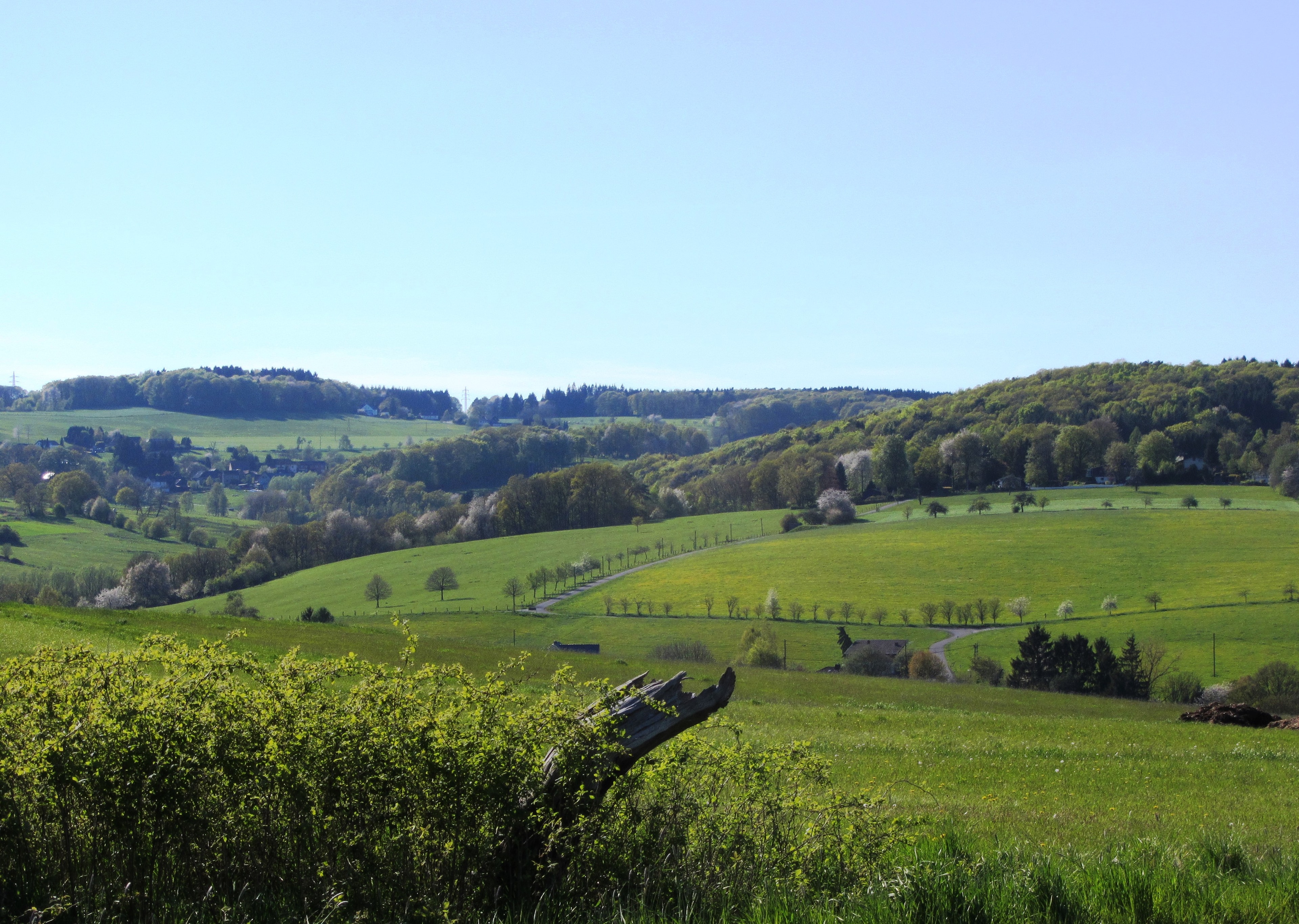 Familienausflug zum Affen- und Vogelpark