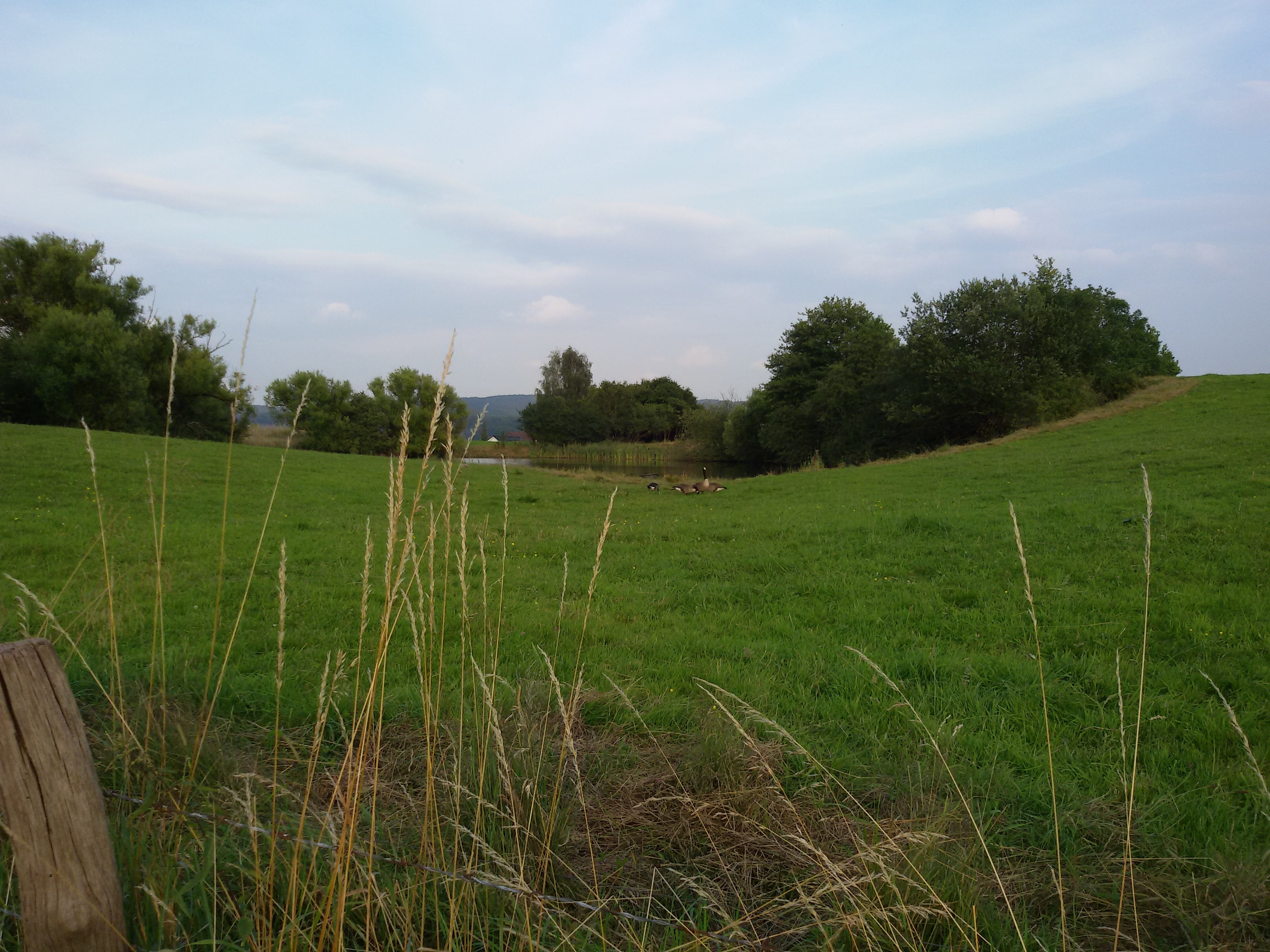 Kulturmomente rund um Schloss Homburg im Rheinland