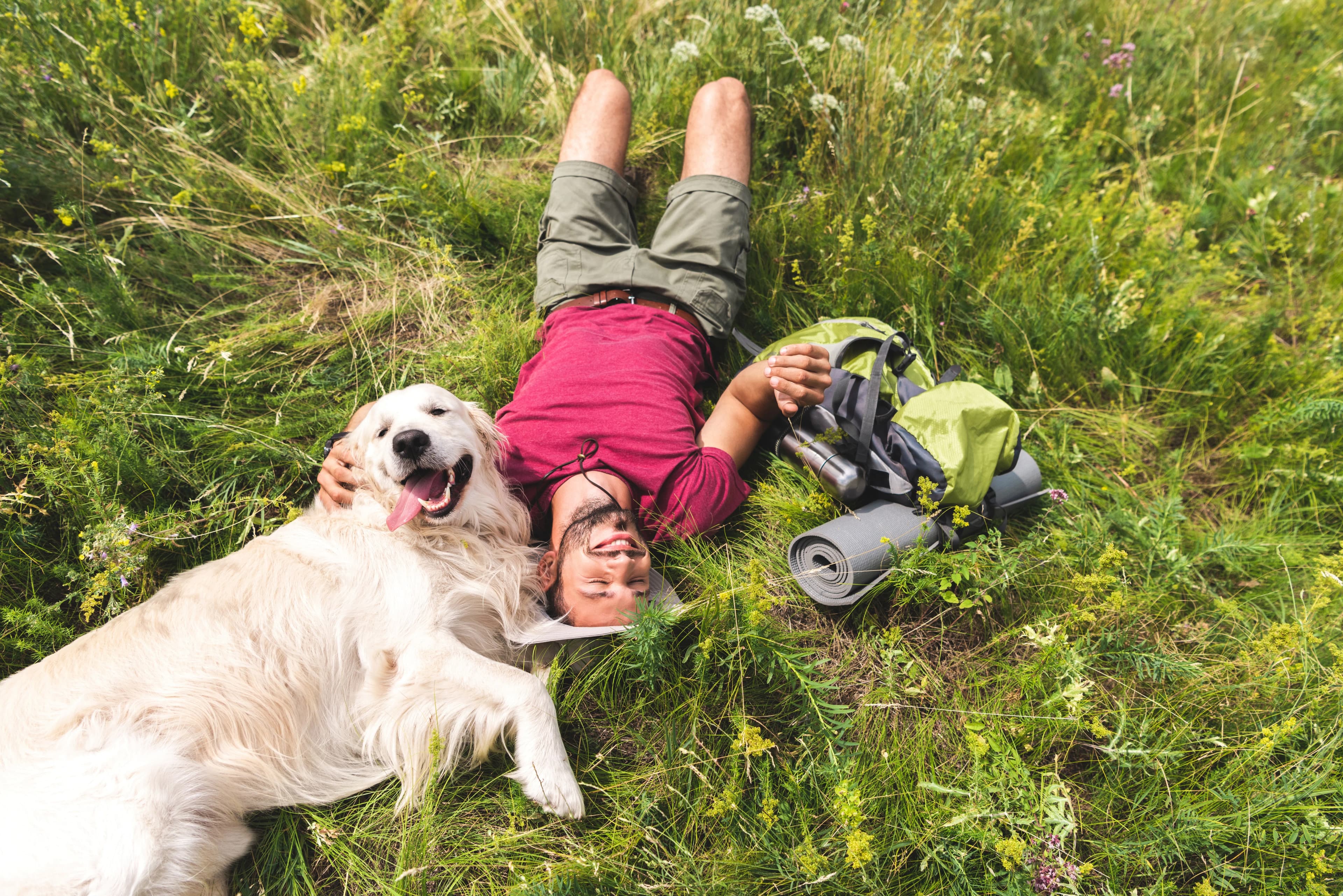Wanderurlaub mit Hund im Windecker Ländchen