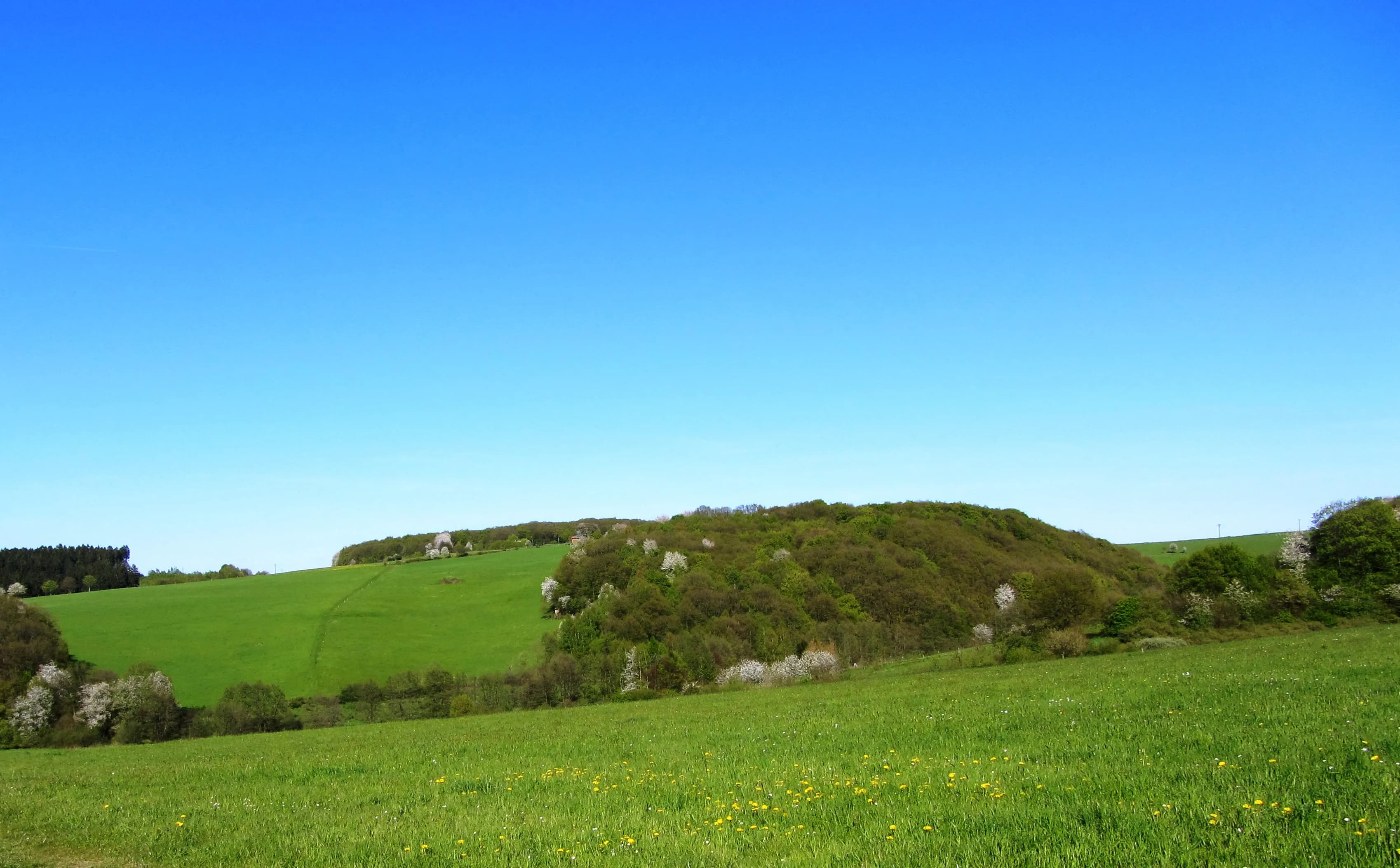 Gruppenurlaub mit viel Platz und Natur