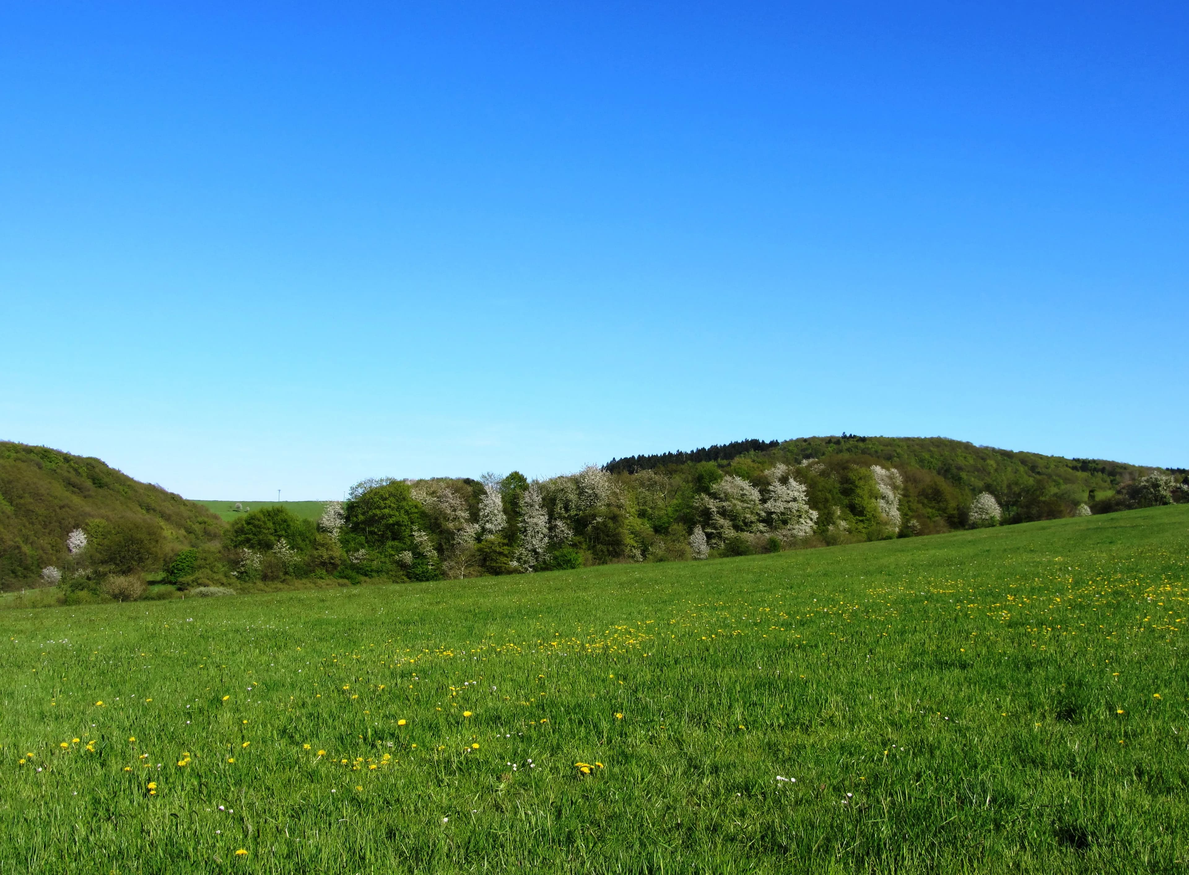 Wahnbachtalsperre – Naturerlebnis im Bergischen Land
