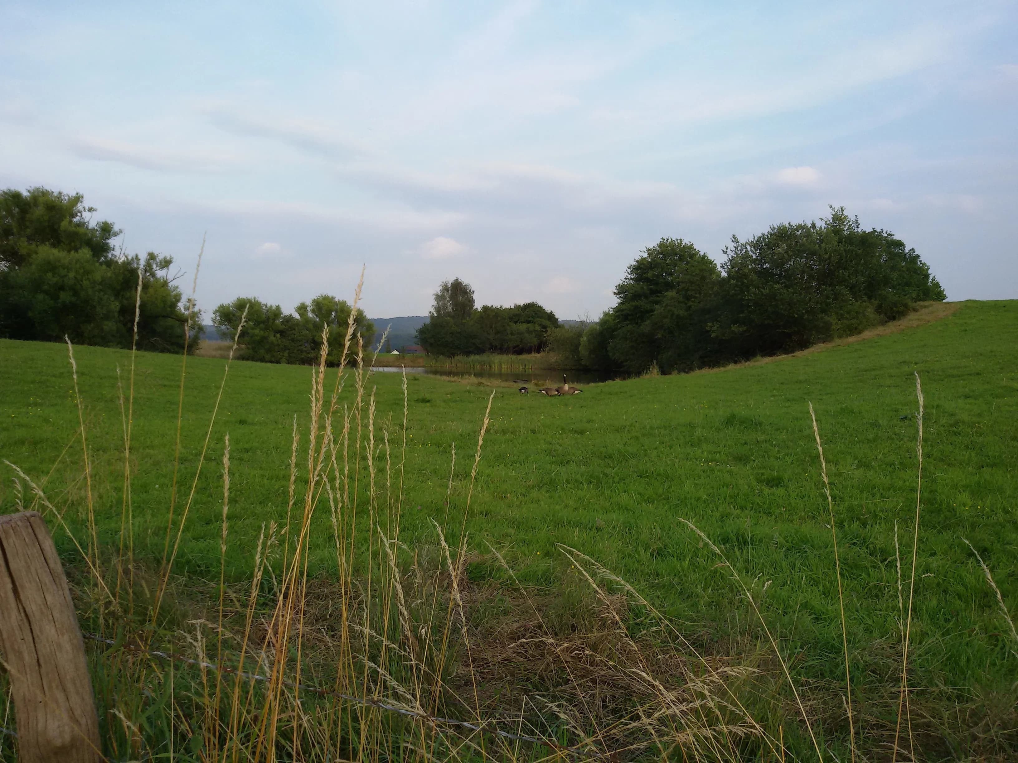 Kulturmomente rund um Schloss Homburg im Rheinland