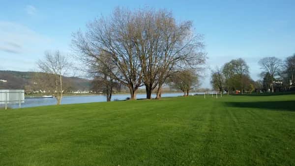 Rheinromantik und Drachenfels-Erlebnis nahe Bonn